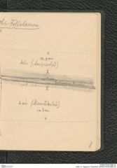 Seite 12, Tagebuch "Inzersdorf" (NHMW-PRAE-BBB-24)